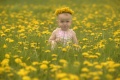 Baby, M�dchen, in Fr�hlingwiese